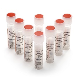 Trypsin w/ CaCl2 (TPCK Treated) - 8 Pack product photo