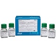 Nucleic Acid Extended Range Gel Multi Pack product photo