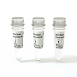 Molecular Weight Sizing Standard - 3 Pack product photo